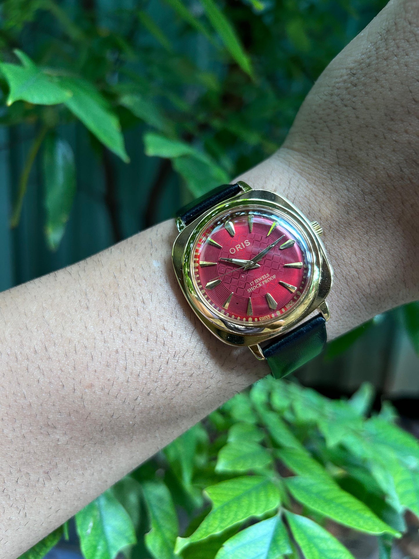 Panerai Oris - Gold 4