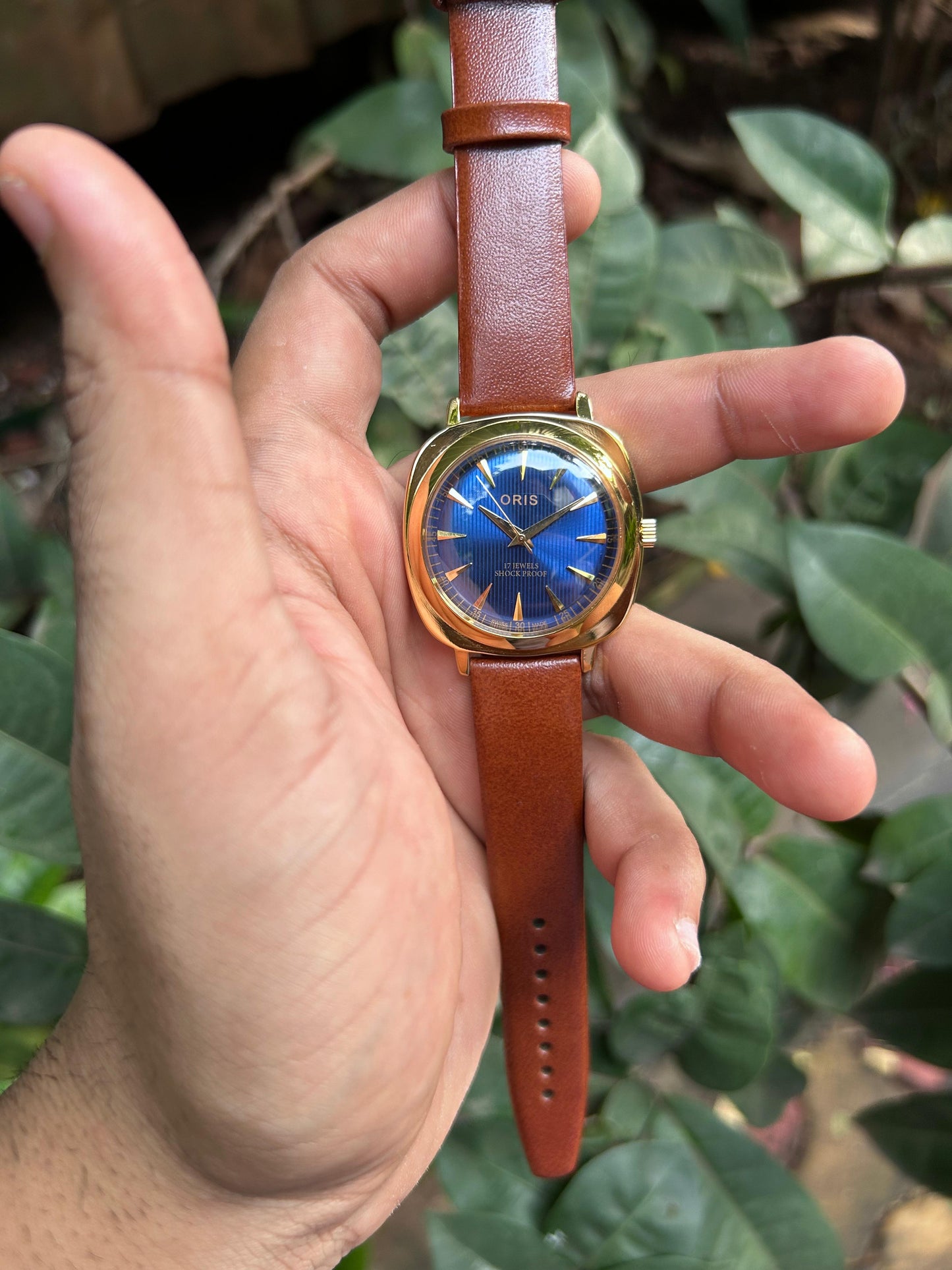 Panerai Oris -  Gold