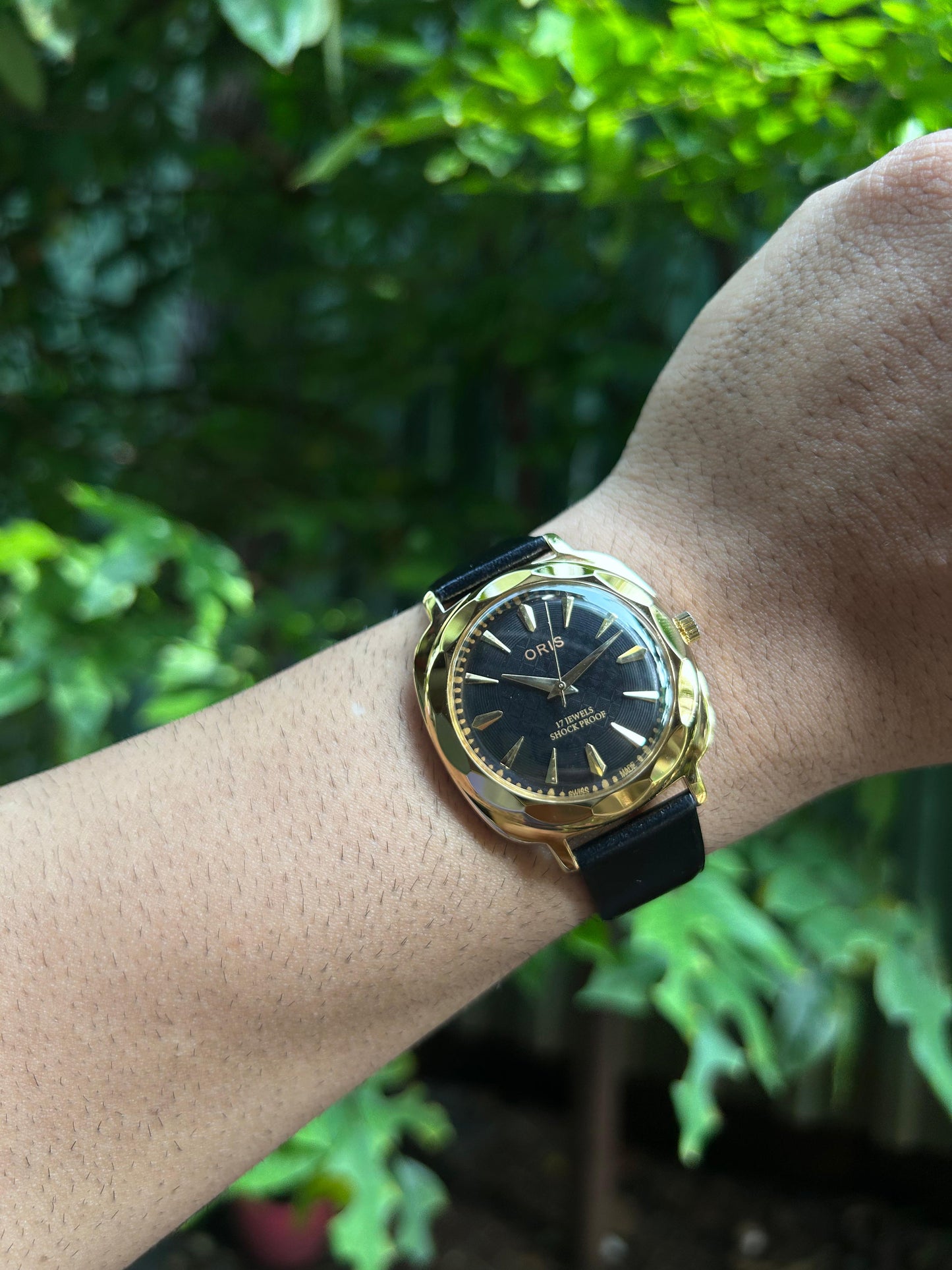 Panerai Oris -  Gold 5