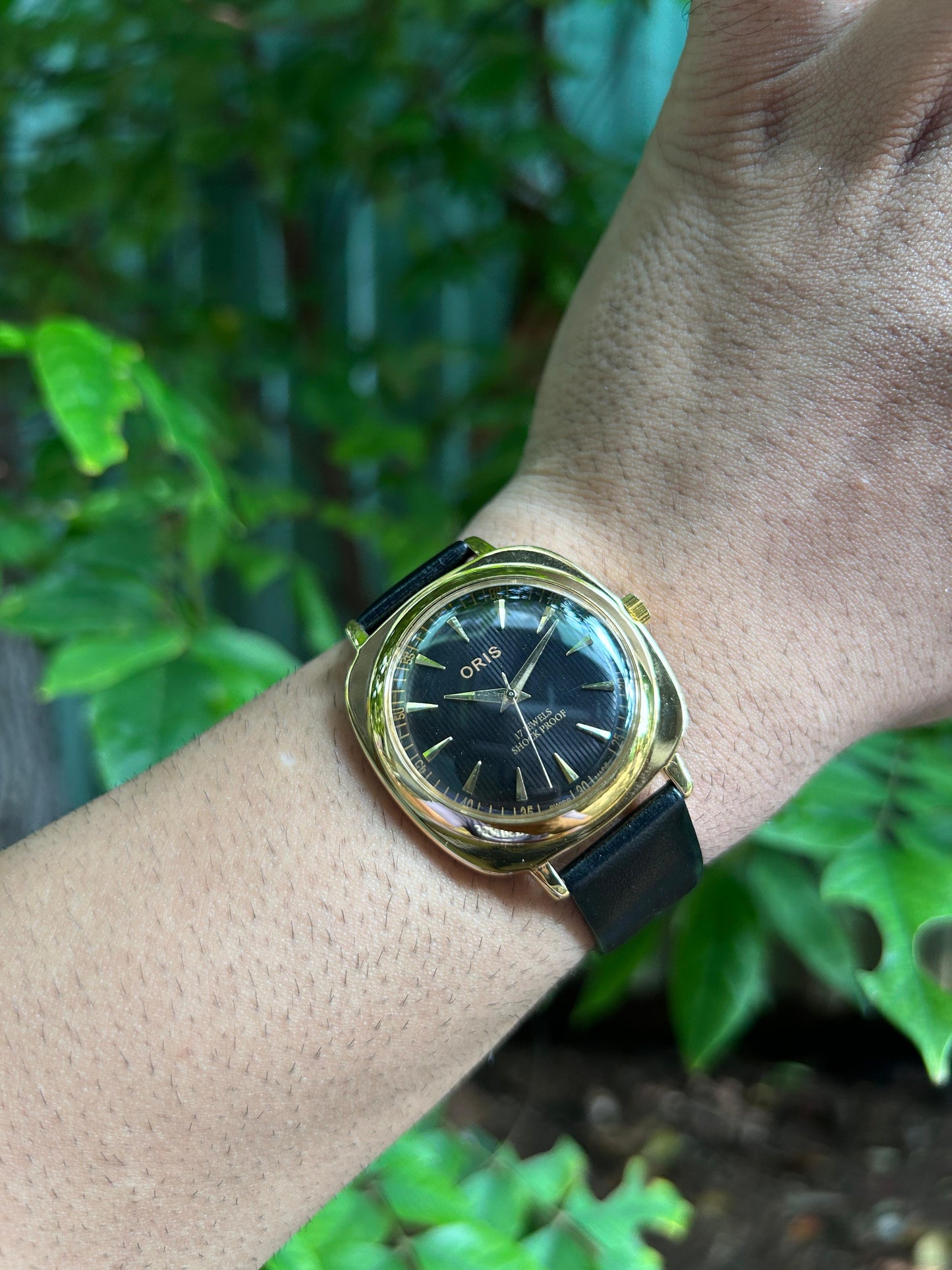 Panerai Oris -  Gold 2