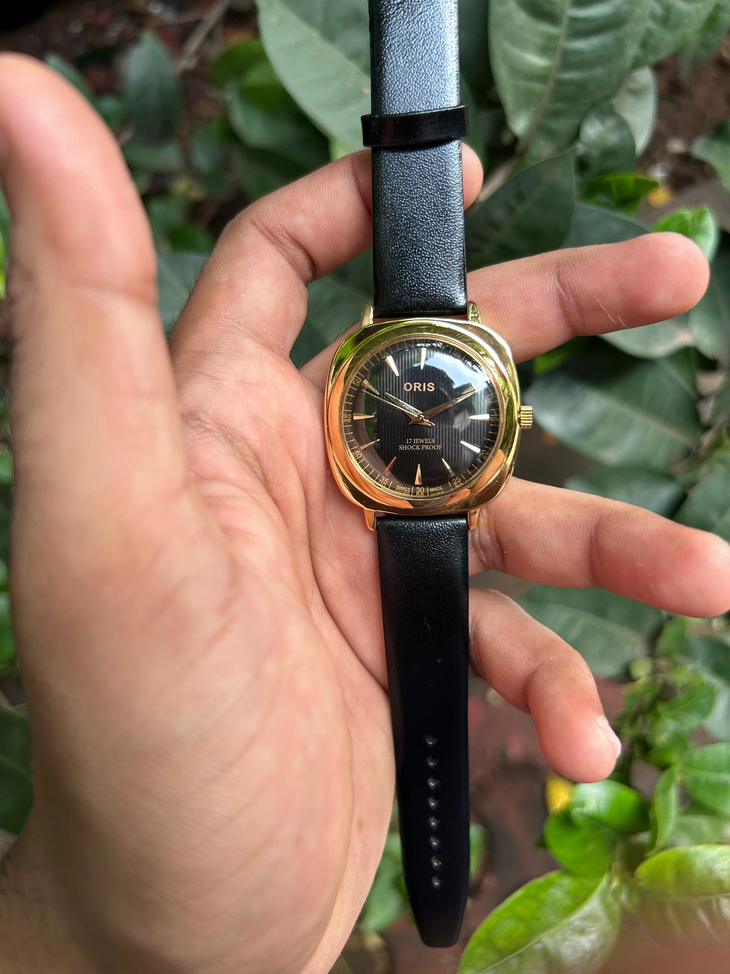 Panerai Oris -  Gold 2